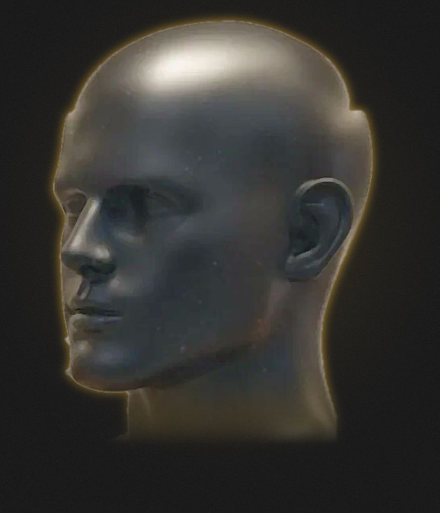 Head model