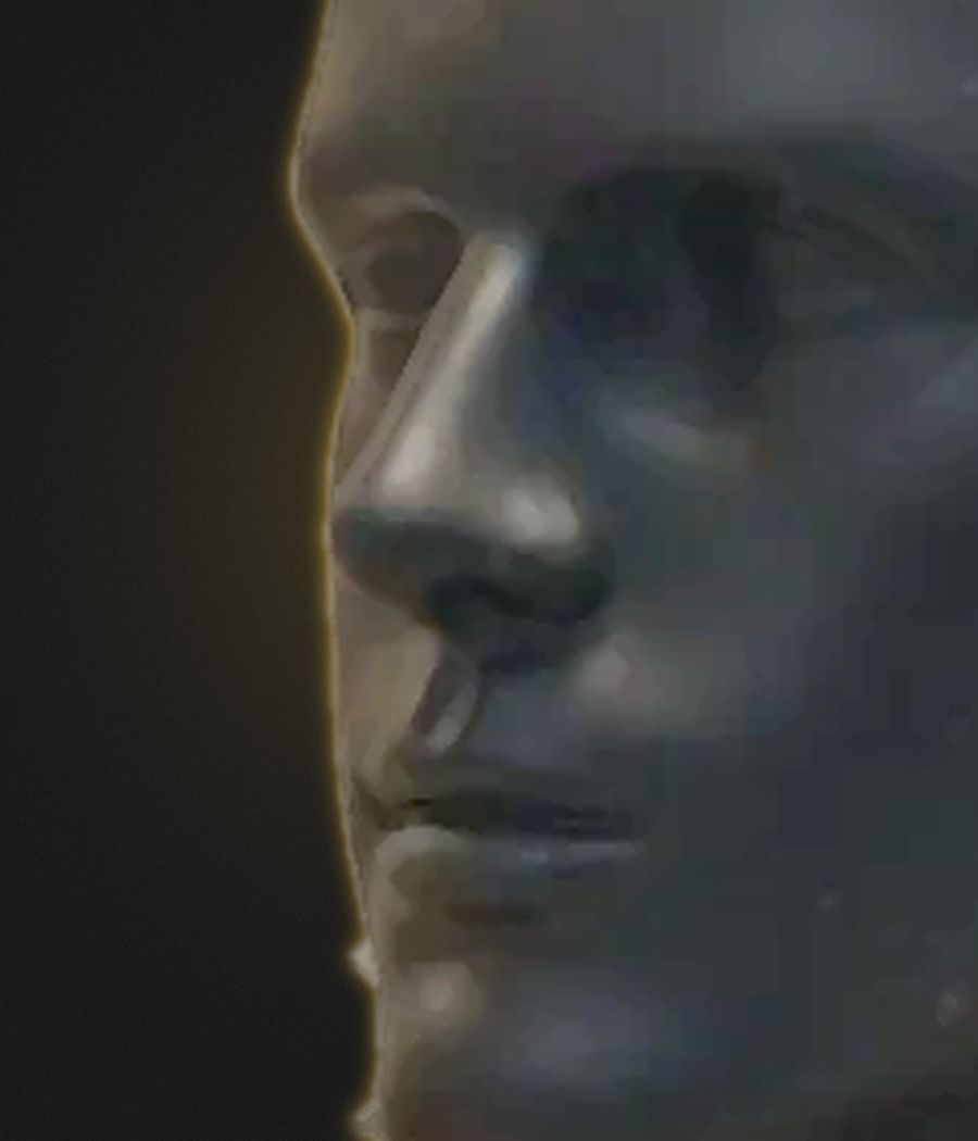 Nose