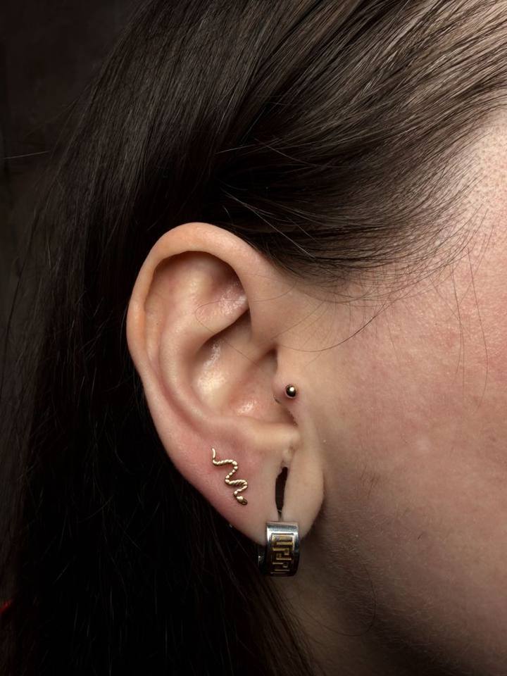 Example: tragus